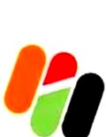 Eximia Realty Logo